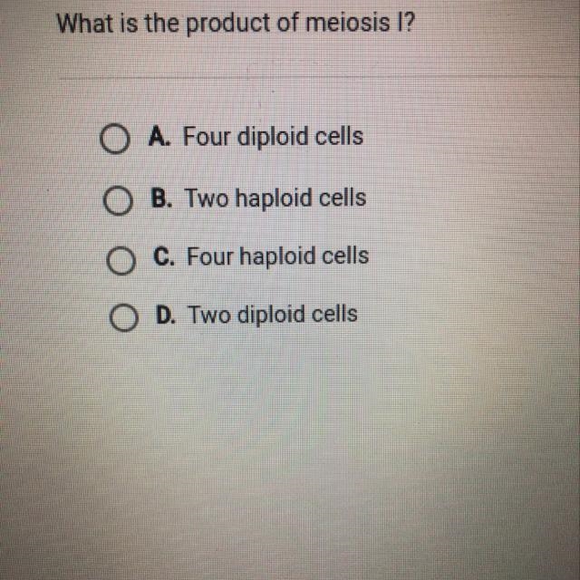 What is the product of meiosis 1 ?-example-1