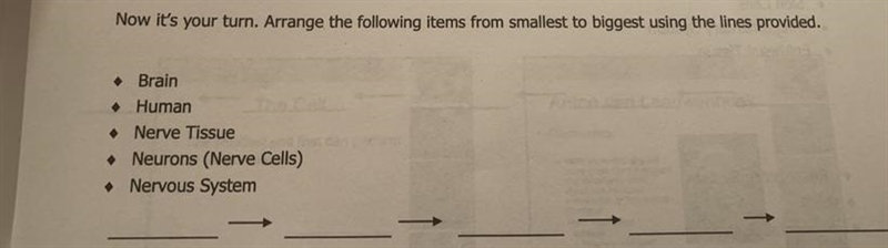 Arrange the following to smallest to biggest-example-1