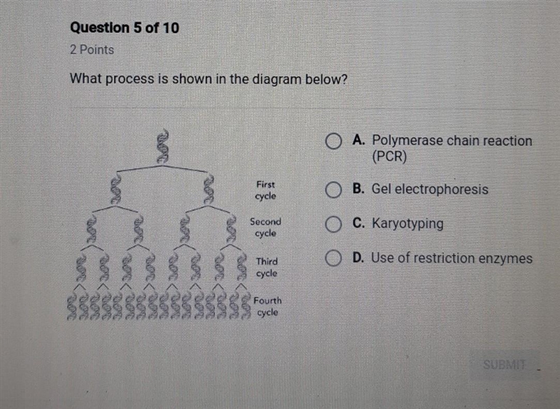 What process is shown in the diagram below?​-example-1