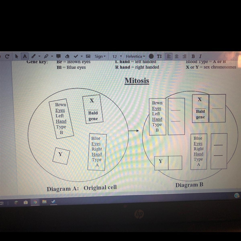 Complete Diagram B (fill in the blanks).-example-1