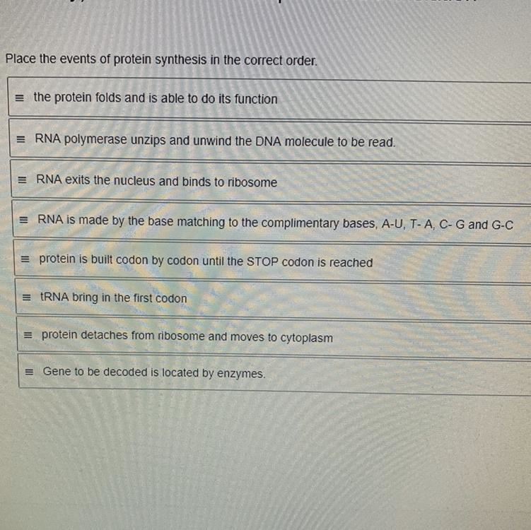 Place the events of protein synthesis in the correct order.-example-1