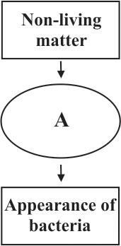 [GT.03] The diagram below shows the sequence of events and processes which resulted-example-1