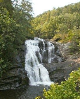 High on this mountain top, we see plants and animals. When winter comes to the mountain-example-1