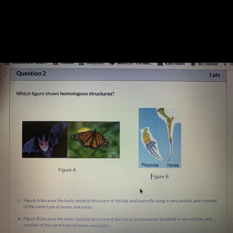 Please help me with answer I need help-example-1