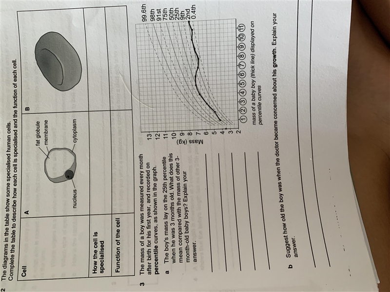 Help me please I don’t understand-example-1