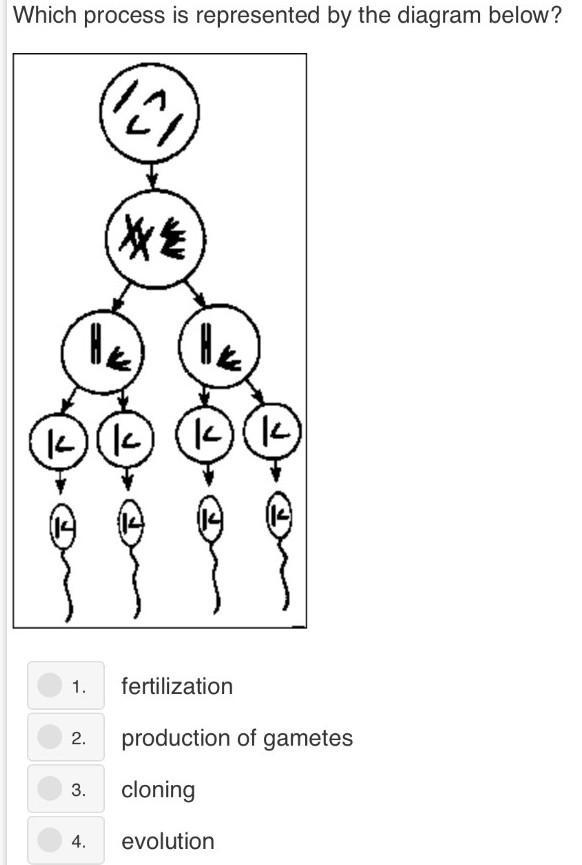 Somebody please help me​-example-1