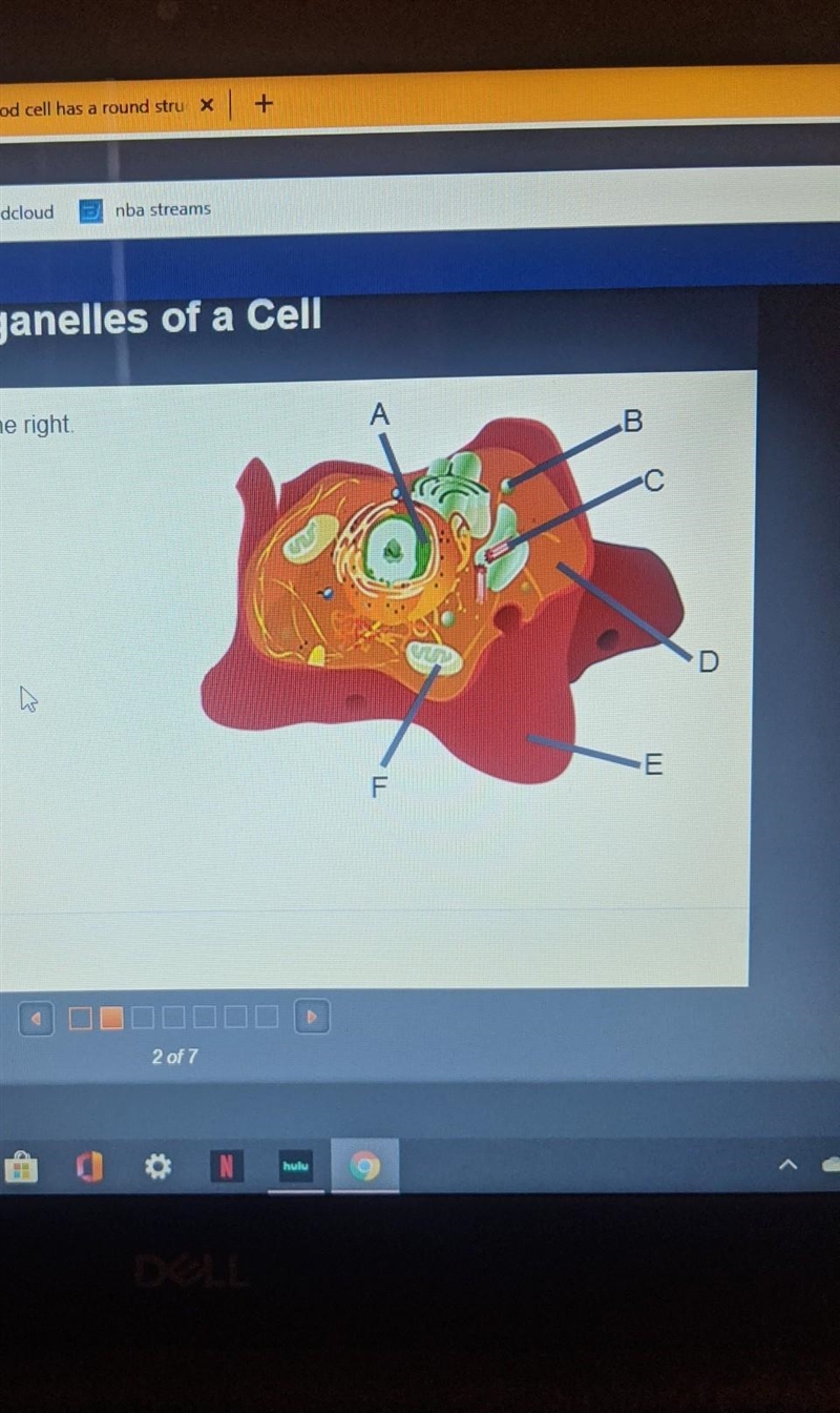 Identify the organelles in the cell to the right A B C D E F​-example-1