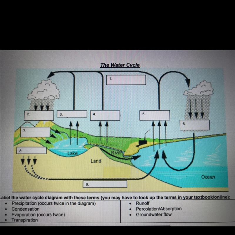 I need help lol with this science work-example-1