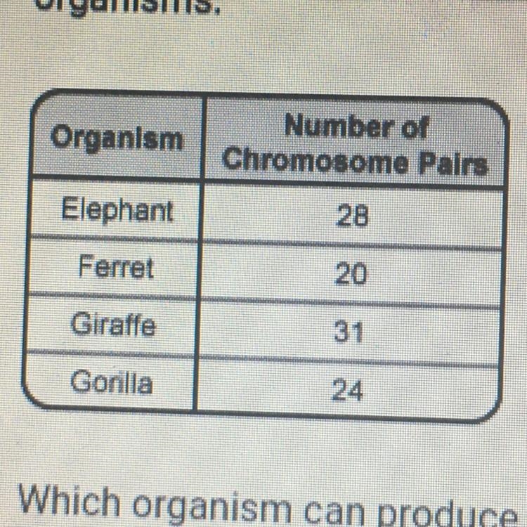 Help ! Which organism can produce the highest number of genetically different gametes-example-1