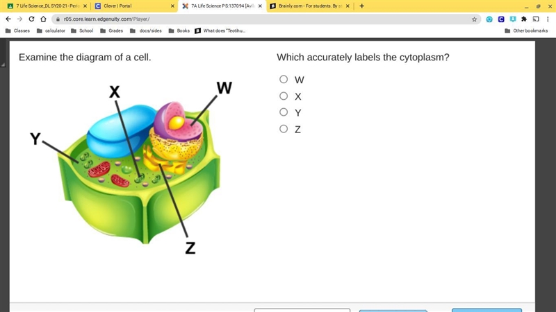 PLS HELP PLS PLS PLS PLS-example-1