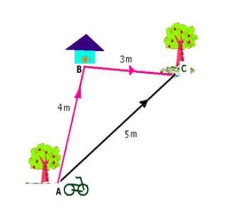 What is the distance of what Bob traveled and whats the displacement while bob was-example-1