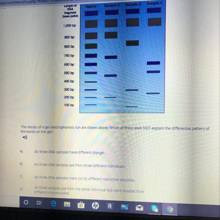 Which of these does not explain the differential pattern of the bands of the gel-example-1