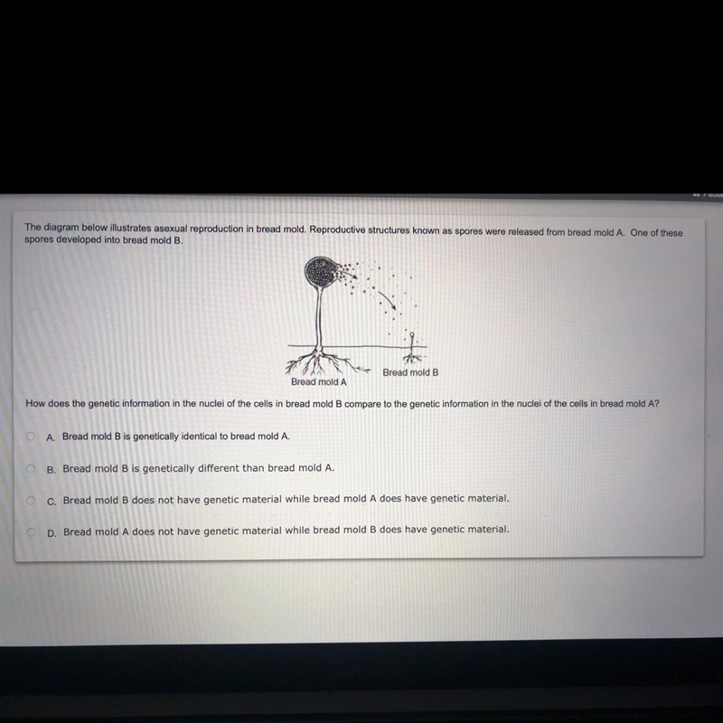 PLS HELP 7TH GRADE SCIENCE-example-1