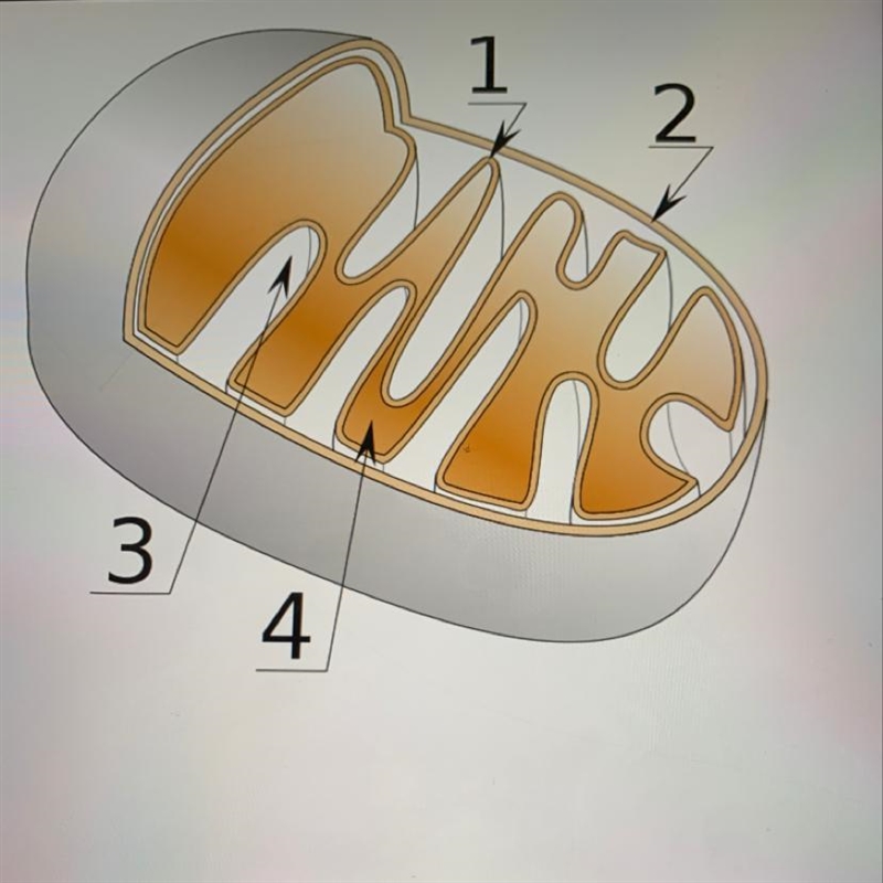 This image is an illustration of an-example-1