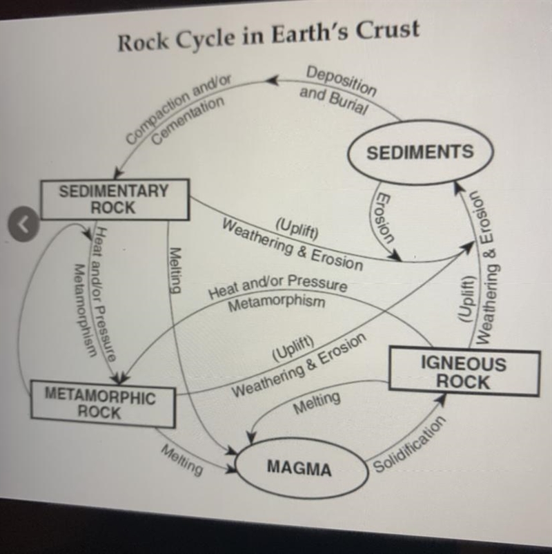 Which type of rock forms only from the solidification of magma?-example-1