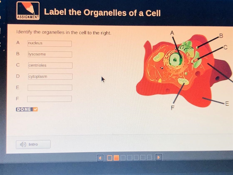 I need help also are the question I answer right-example-1