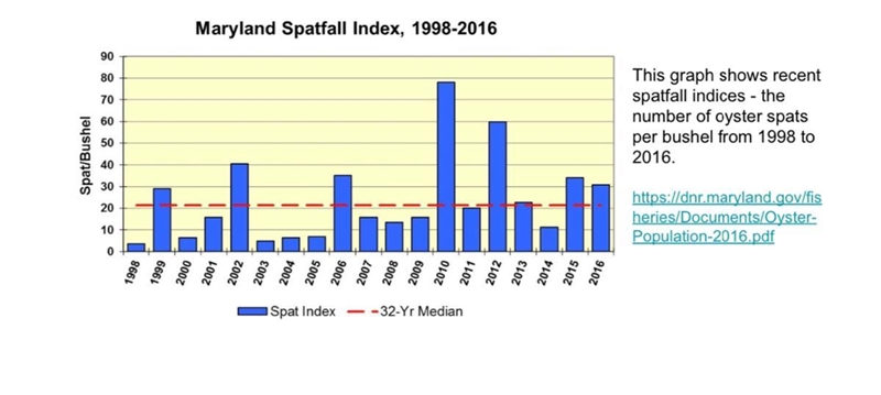 What is the trend in oyster spat numbers shown in the graph?-example-1