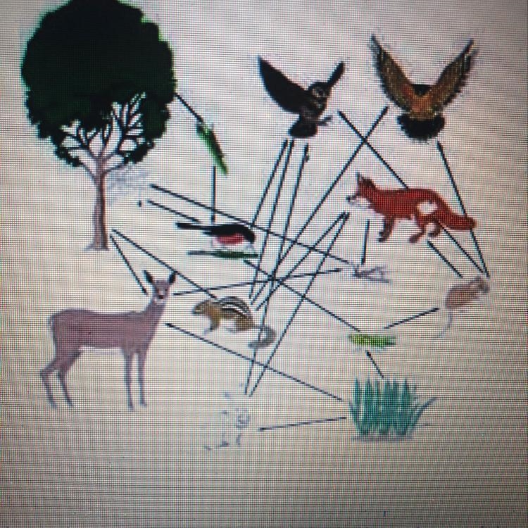 Please hurry it’s urgent Consider the food web seen here. One member, the northern-example-1