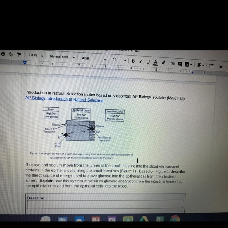 Glucose and sodium move from the lumen of the small intestine into the blood via transport-example-1