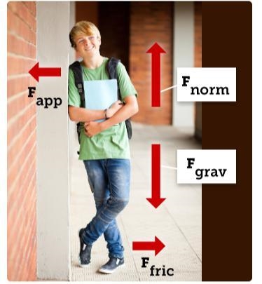 Which statement best describes the forces in the picture? A. The applied force and-example-1