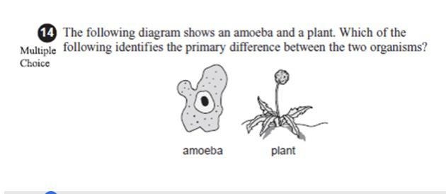 The amoeba has organs. The amoeba cannot conduct respiration. The amoeba contains-example-1