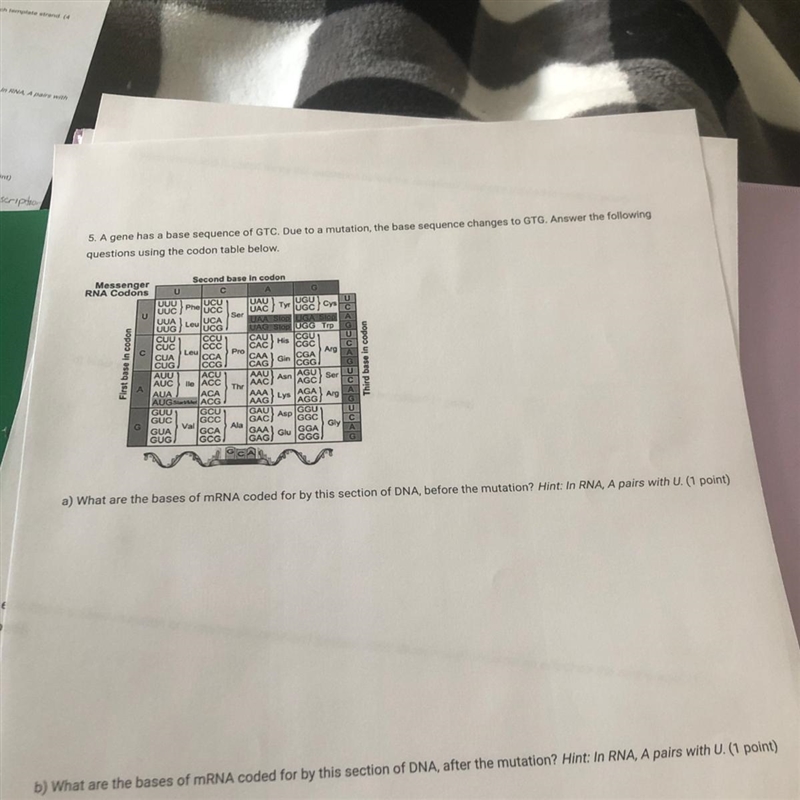 Please help!!! im desprate after b: c) what amino acid is coded for by the sequence-example-1