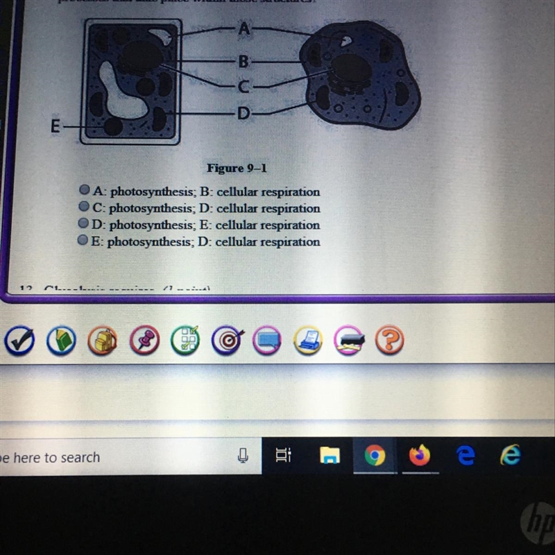 WITH PICTURE!!! 12. Using Figure 9-1, which pairing matches the structures shown in-example-1