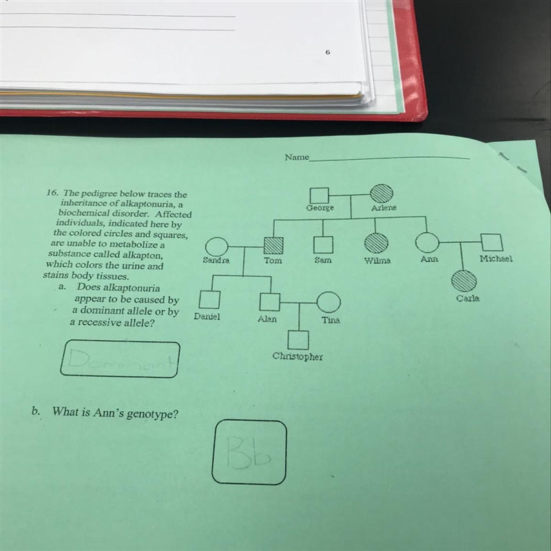 Please help Dominant or recessive And what is Ann’s genotype?-example-1