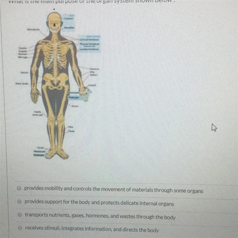 What is the main purpose of the organ system shown below?-example-1