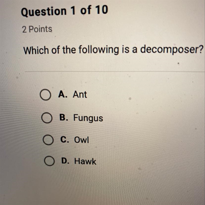 Which of the following is a decomposer?-example-1