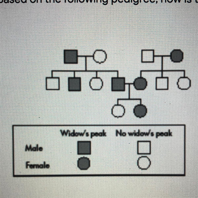 Based on the following pedigree, how is the trait being inherited? A. sex-linked inheritance-example-1