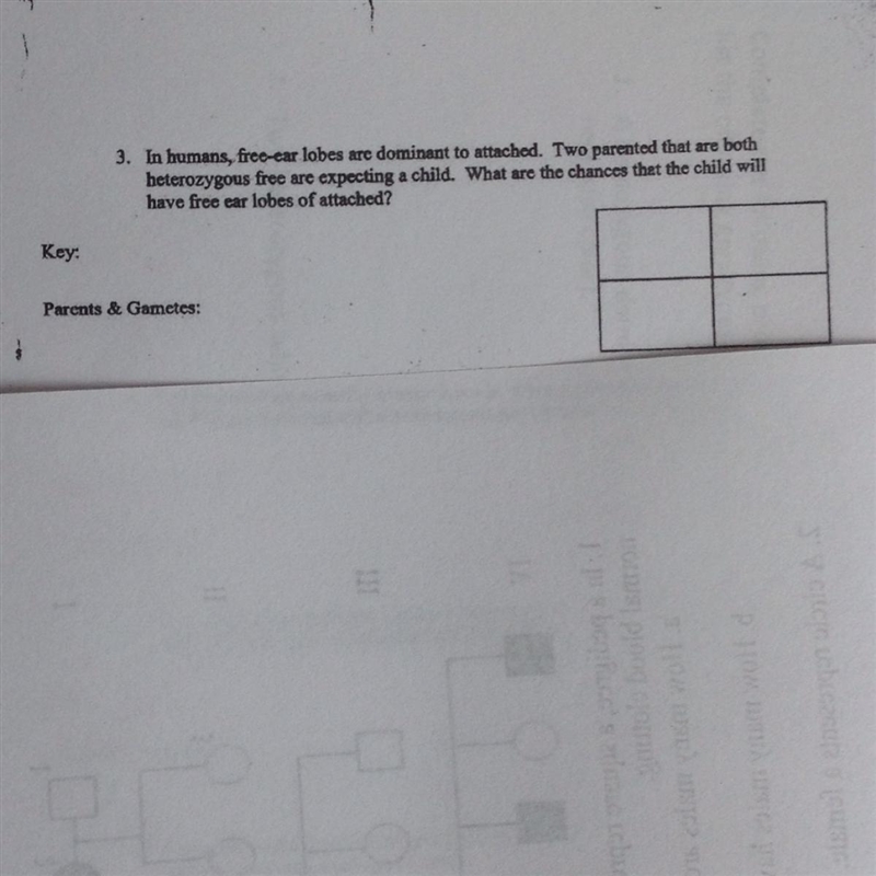 Hello, if any one knows how to fill in a punnet square please help meeeeee-example-1