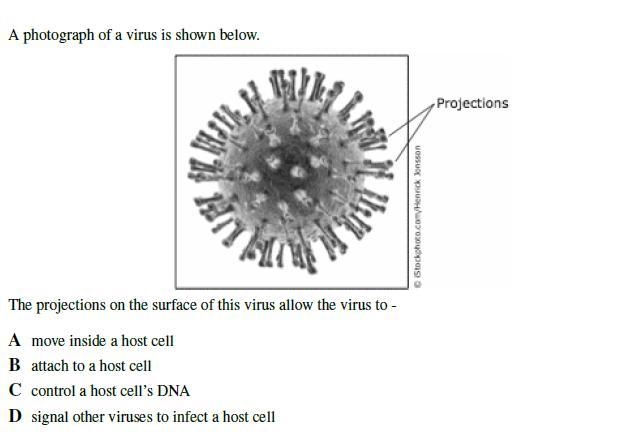 Biology help needed! Any help you can offer is greatly appreciated!-example-2