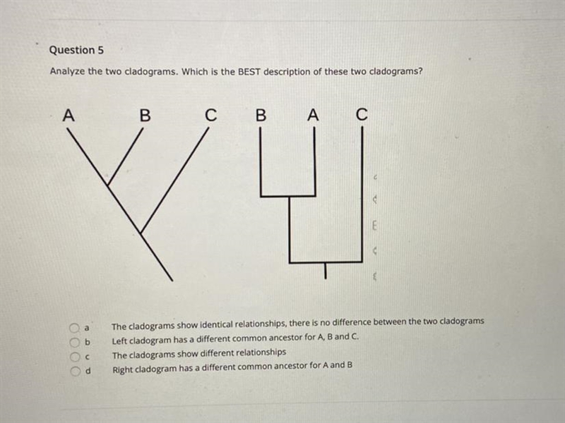 I need help plzzzzzzzzz-example-1