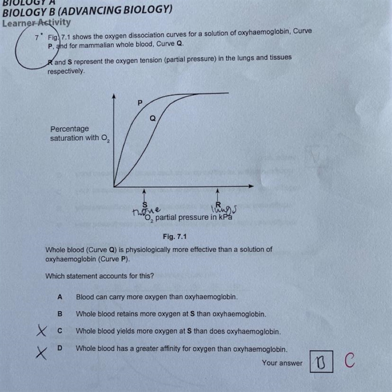 Can anyone please explain why C is the correct answer?-example-1