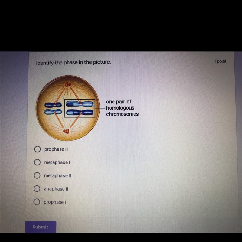 Identify the phase in the picture. one pair of homologous chromosomes O prophase II-example-1