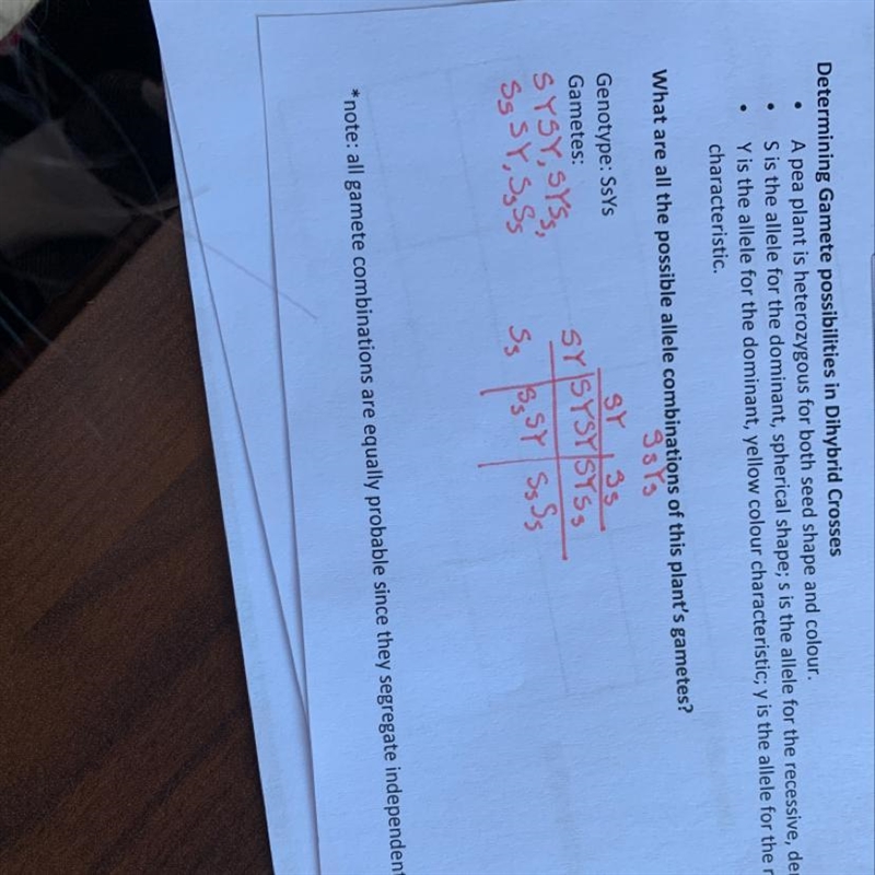 When doing a dihybrid cross you’re supposed to skip the allele of the same trait, so-example-1