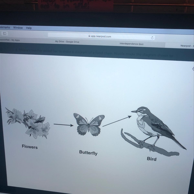 Nicole teacher asked her to make a diagram of a food chain Nicole me the diagram shown-example-1