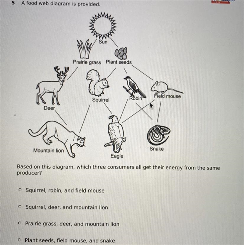 Based on the diagram, which three consumers all get their energy from the same producer-example-1