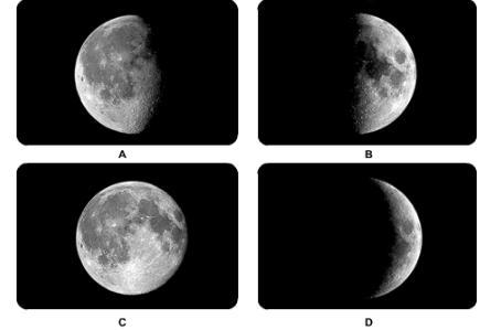 Please help asap put the moon phases in order from first to last phase A) D,B,C,A-example-1