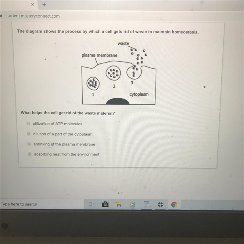 What helps the cell get rid of the waste material?-example-1