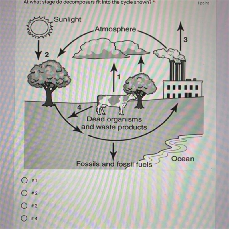 At what stage do decomposers fit into the cycle shown?-example-1