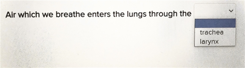 Can someone help me please? Select trachea or larynx-example-1