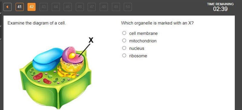 Which organelle is marked with an X?-example-1