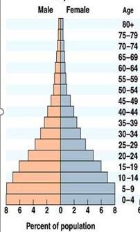 Given the graph below, what can you predict about the population growth? the population-example-1