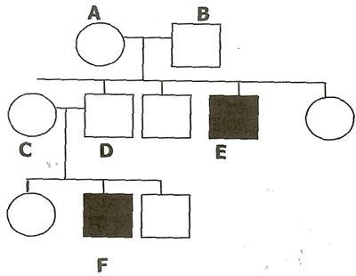 Using the picture above, what is the genotype of person A?-example-1