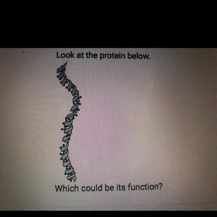 Which could be its function? A. Directing the growth of cells B. Insulating the body-example-1