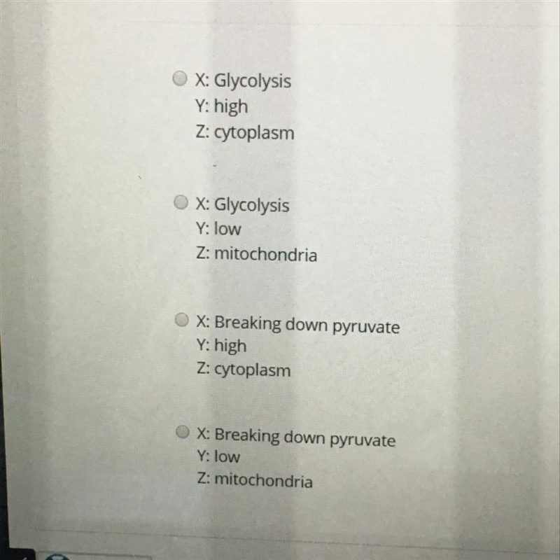 X produces a fairly Y amount of ATP. It’s products are carried to the Z to extract-example-1