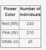 In a hypothetical population of plants, flower color is determined by a single gene-example-1