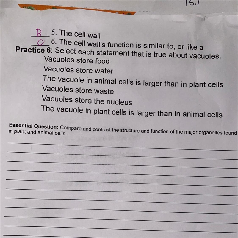 Practice 6: Select each statement that is true about vacuoles. Vacuoles store food-example-1